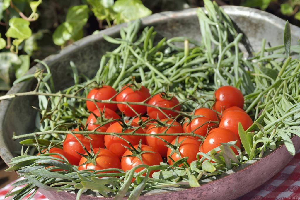 Gastronomy Hotel Kritsa Портариа Екстериор снимка